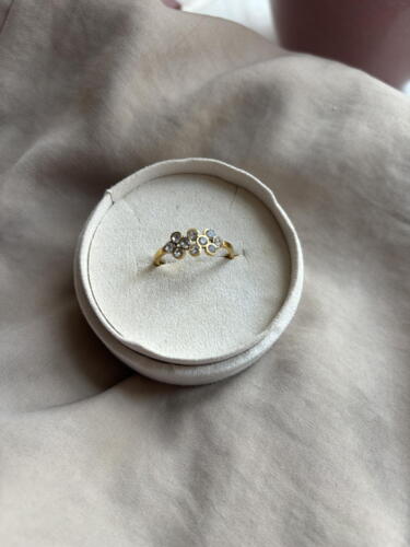 Sally Mini Shine Ring