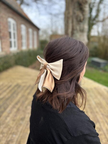 Satin Bow Clip Duo Color