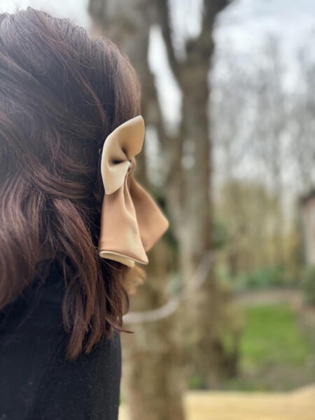 Satin Bow Clip Duo Color